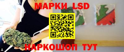 Альфа ПВП Ставрополь