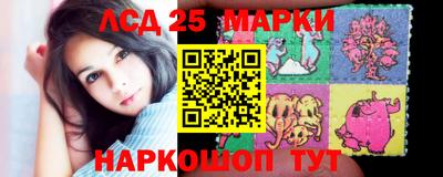 Альфа ПВП Ставрополь