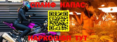 Альфа ПВП Ставрополь