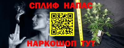 ГАЛЛЮЦИНОГЕННЫЕ ГРИБЫ Среднеуральск