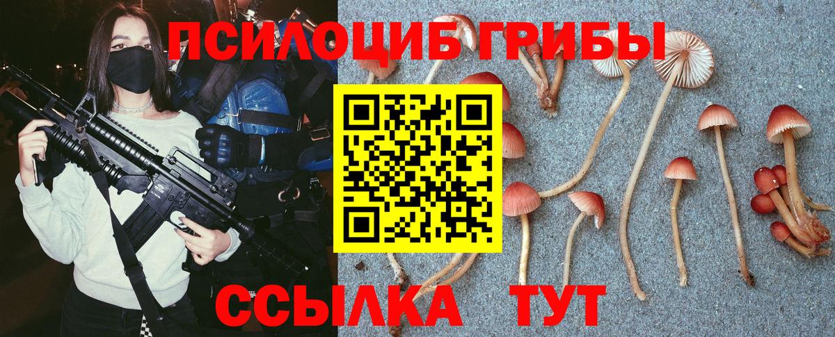 Псилоцибиновые грибы мухоморы Бор